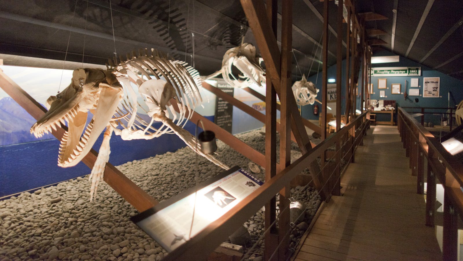 Husavik Whale Museum