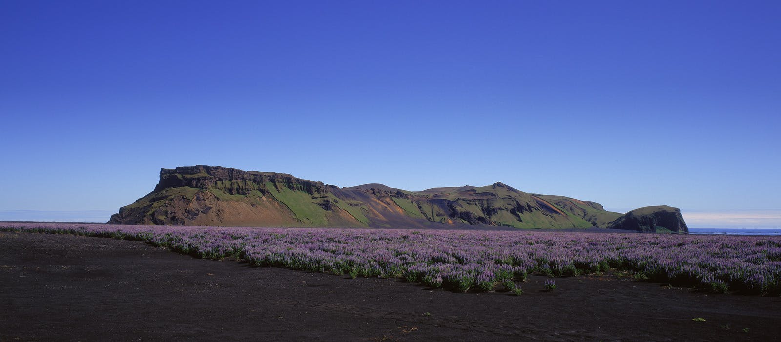 Hjörleifshöfði