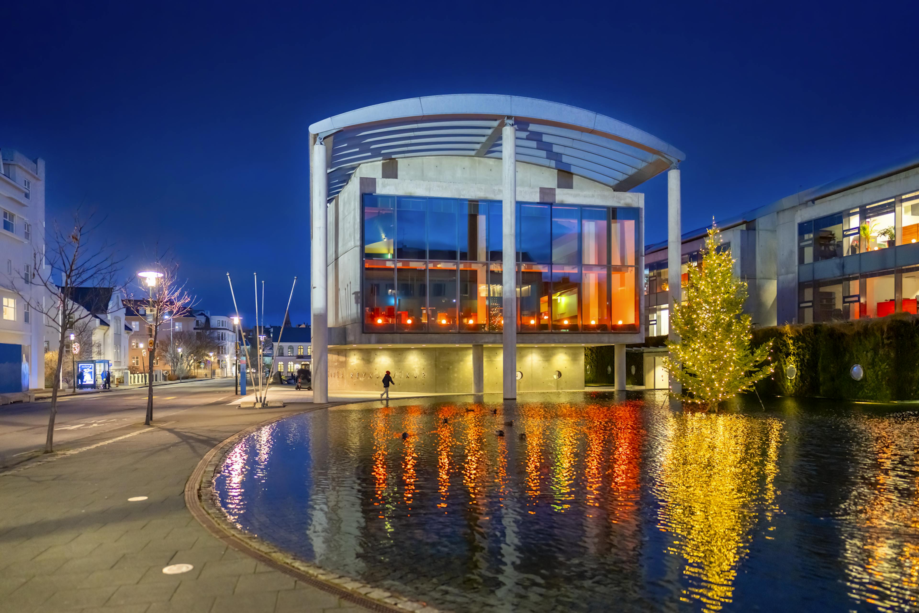 The pond Reykjavik 