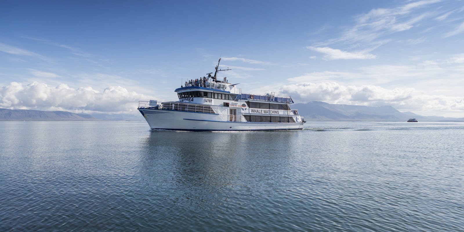 Whale watching tours from Reykjavík