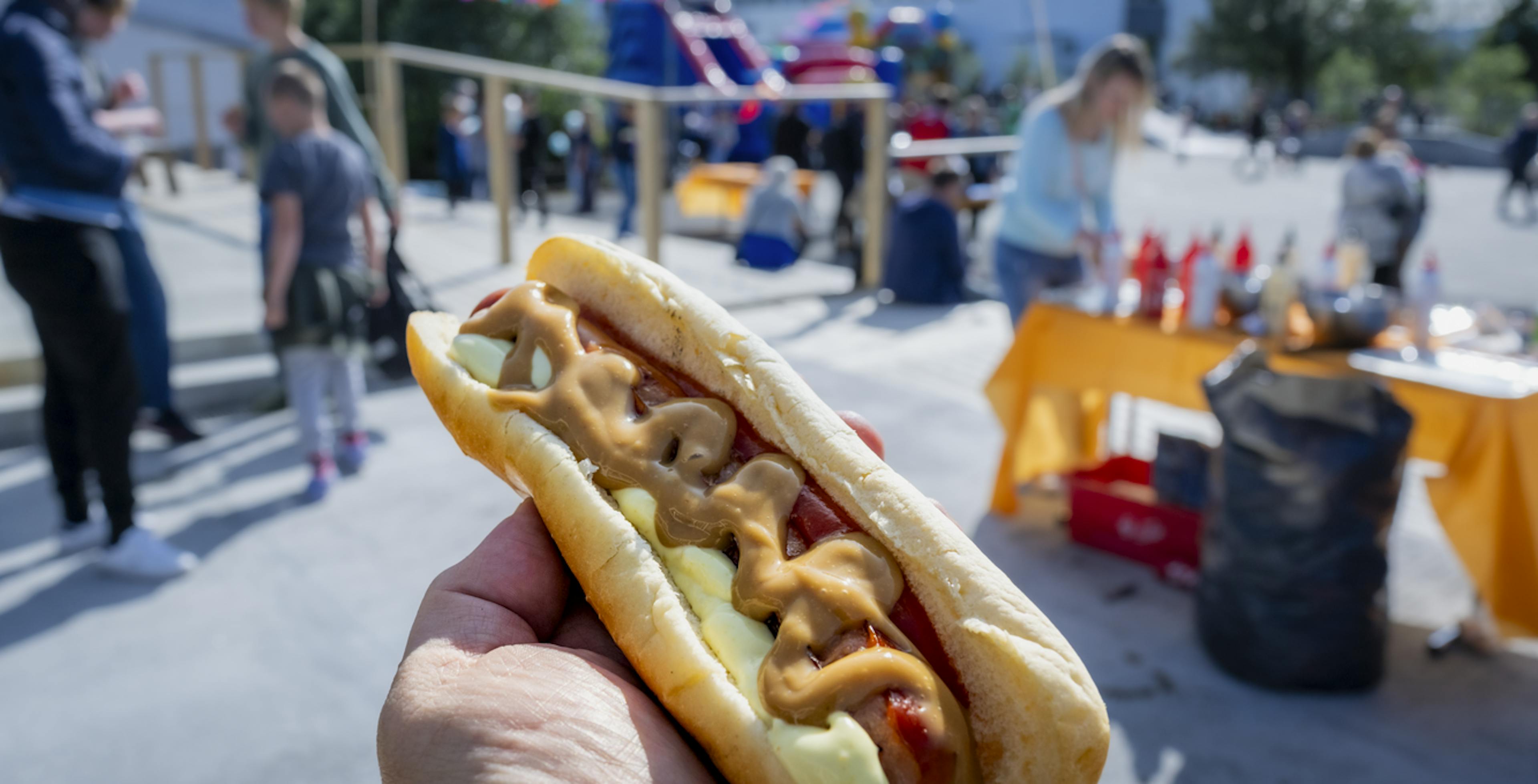 Icelandic Hot Dog