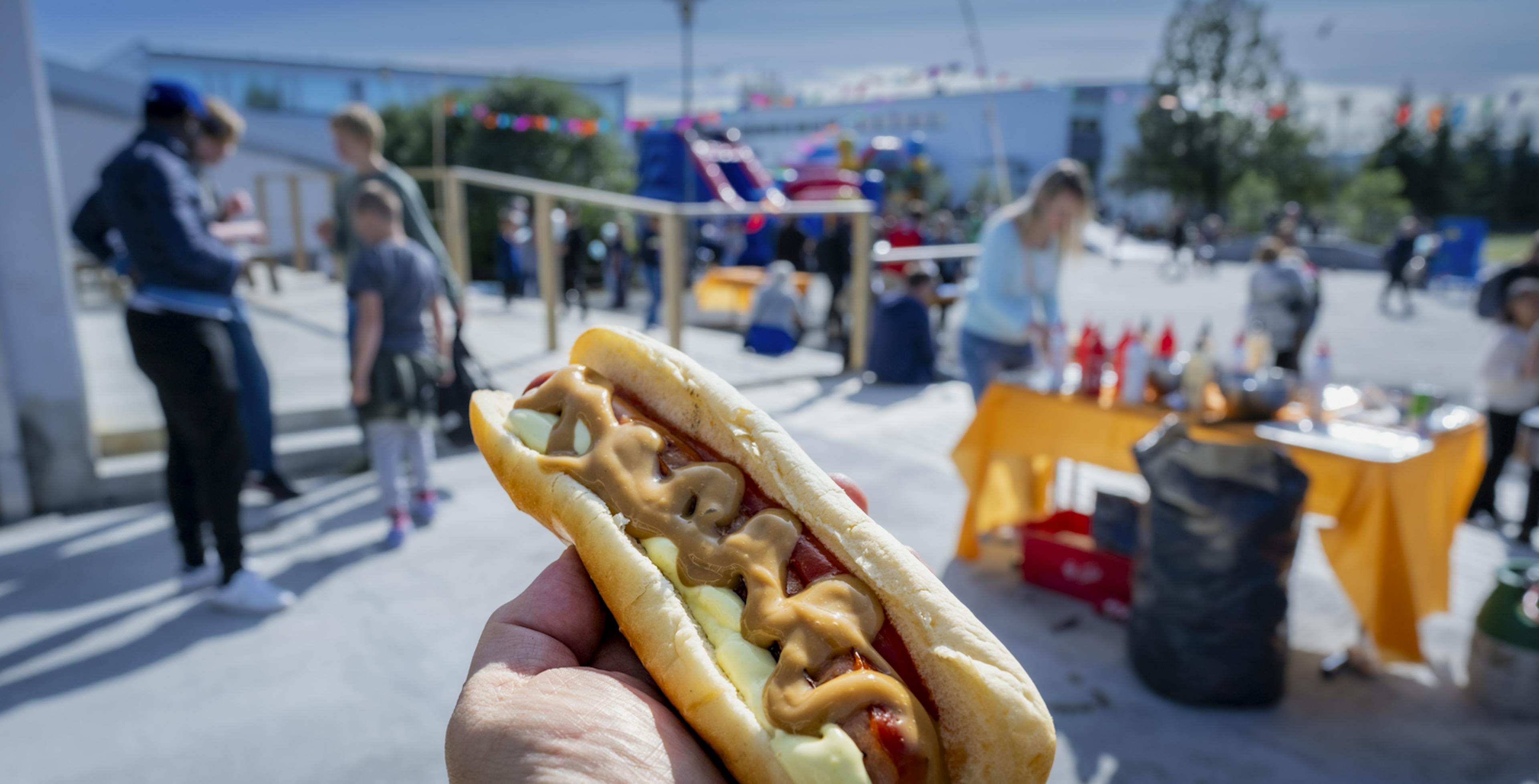 Icelandic Hot Dog