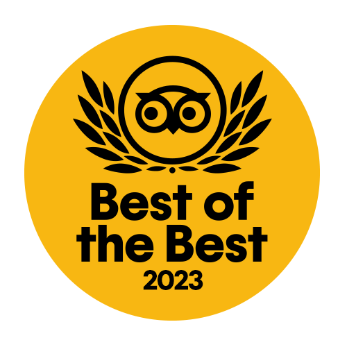 Best of the Best 2023