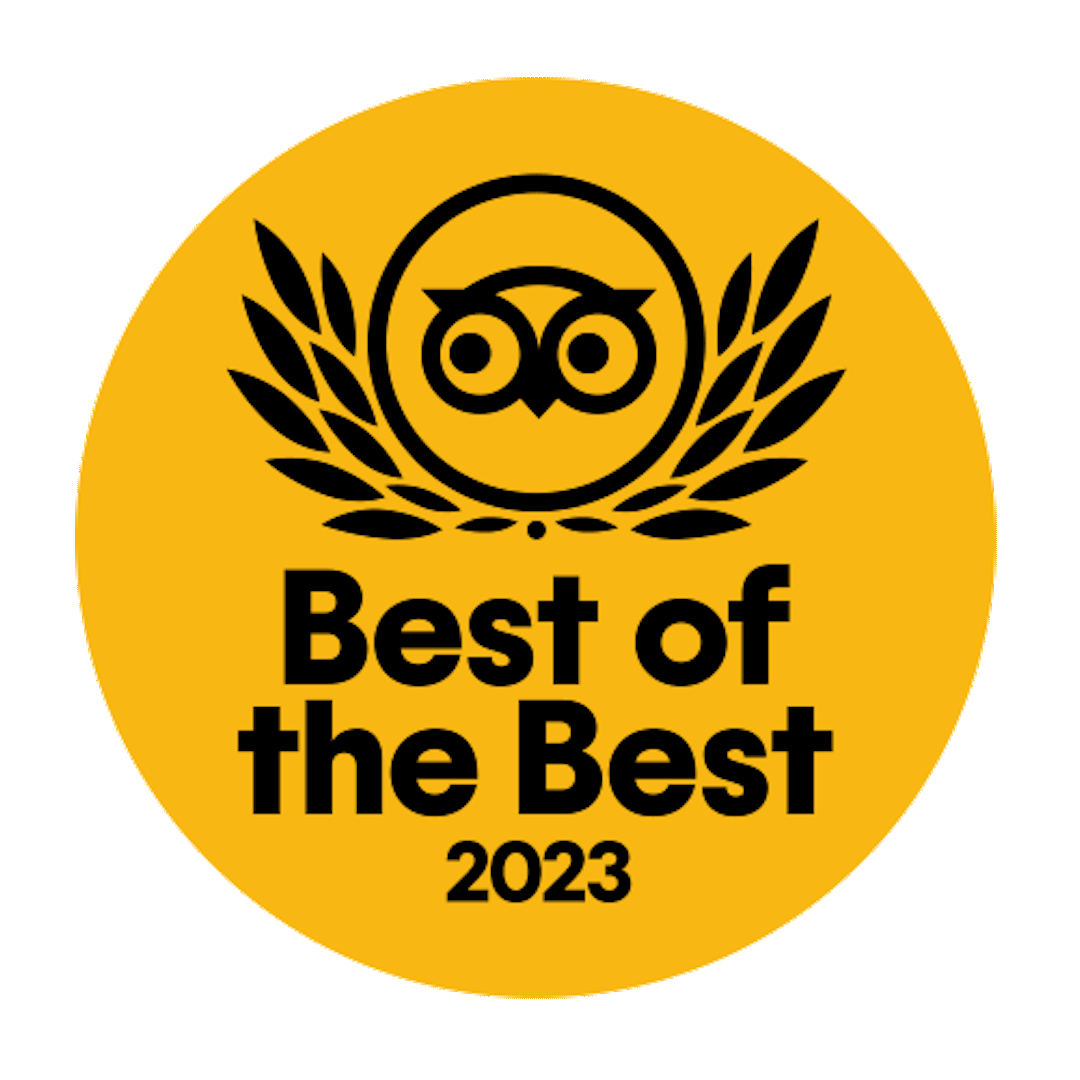 Best of the Best 2023