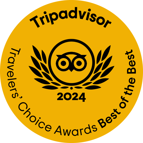 Best of the Best 2024