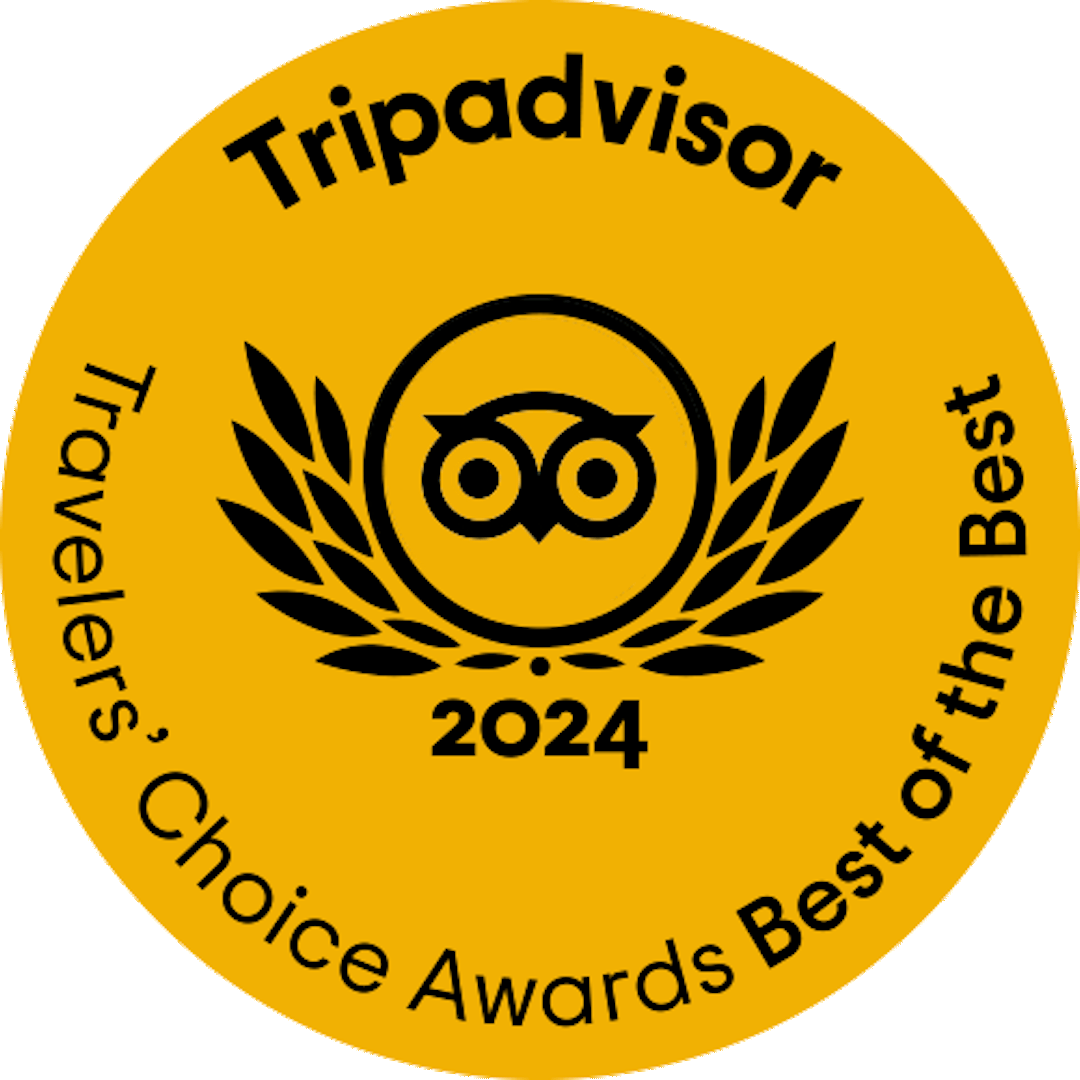 Best of the Best 2024