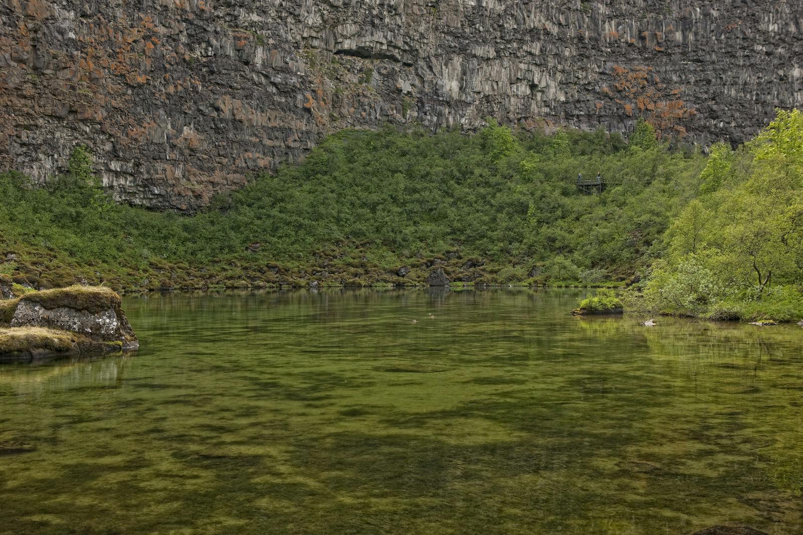 Icelandic nature