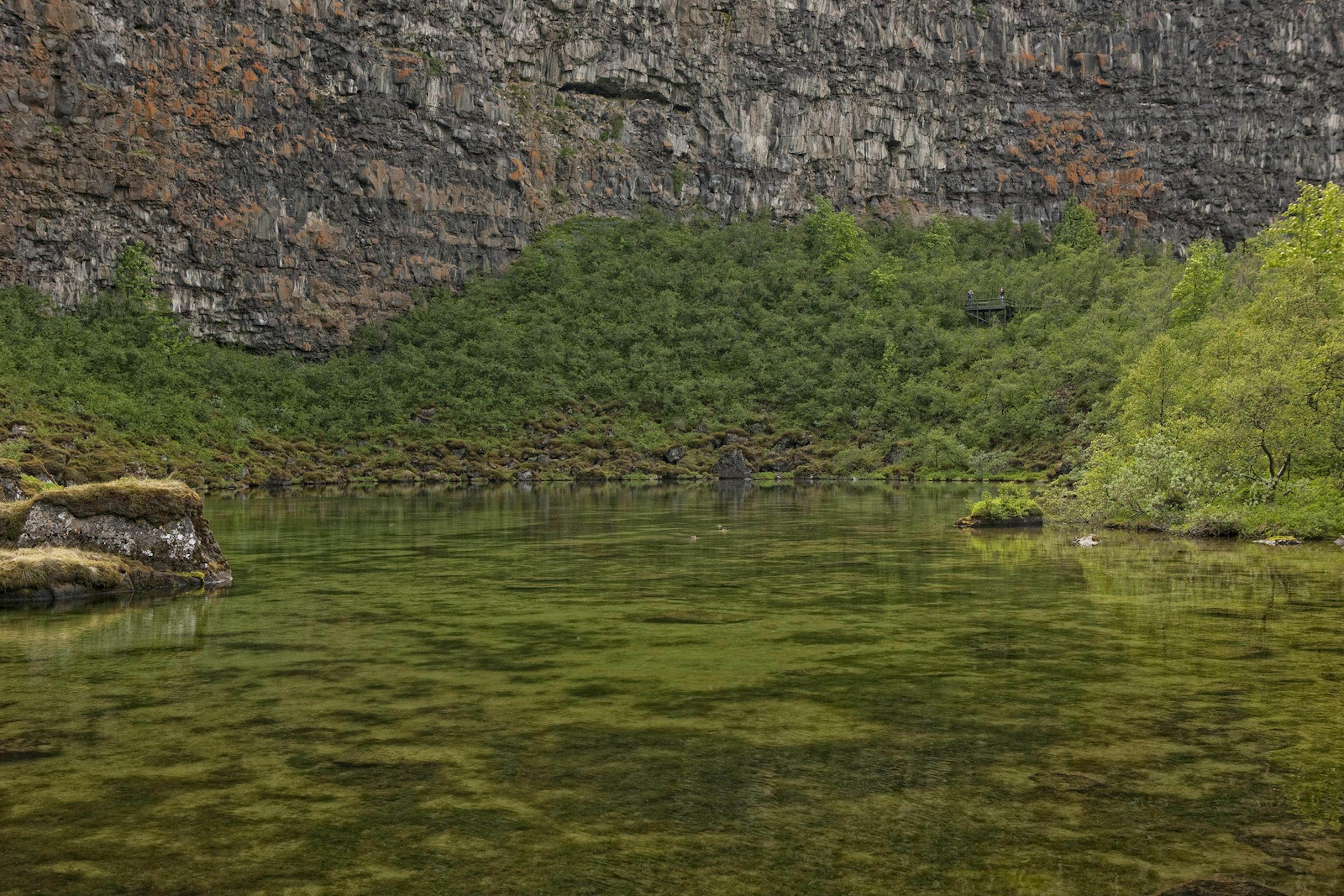 Icelandic nature 