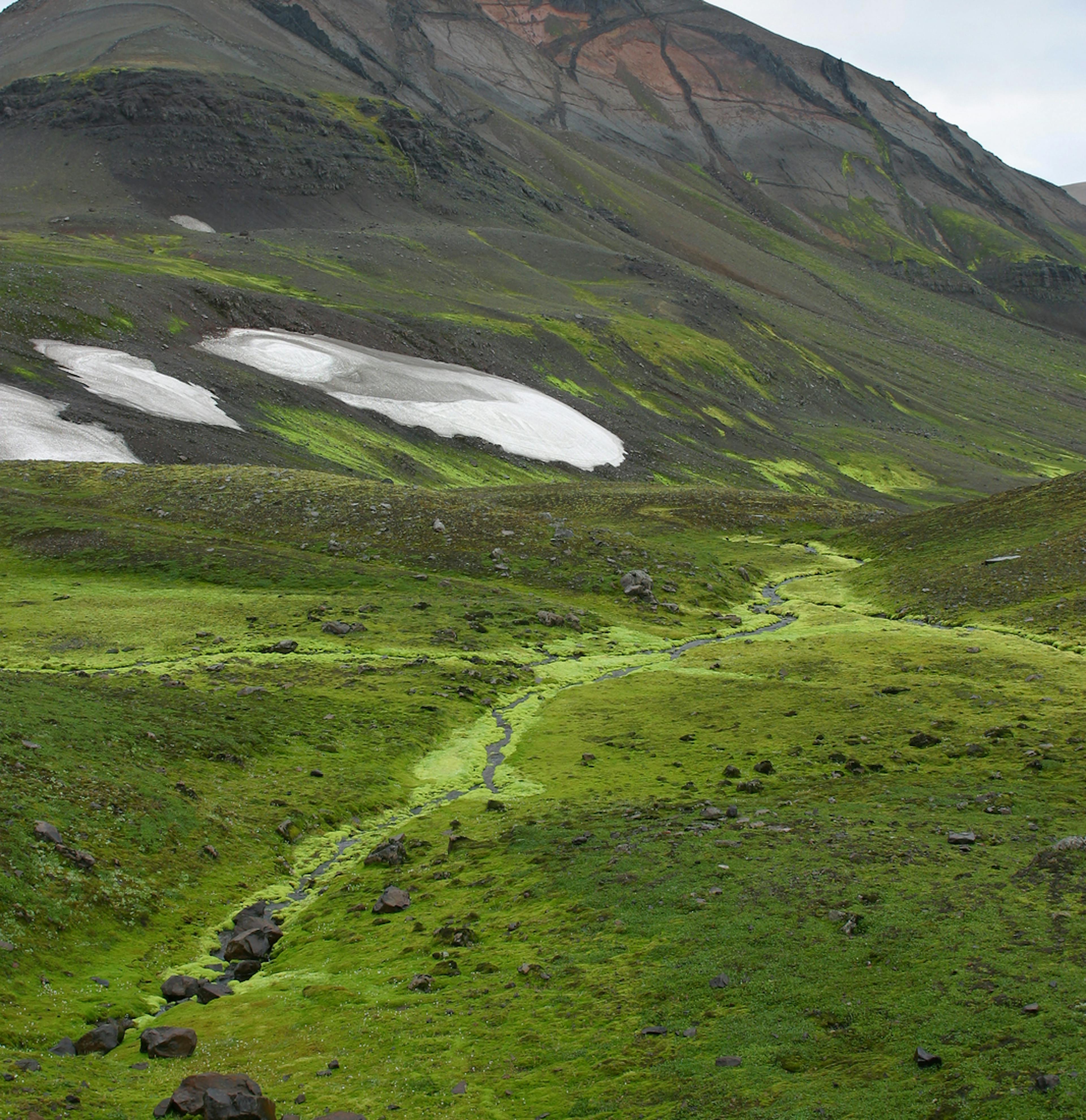 geology dike in a green hill