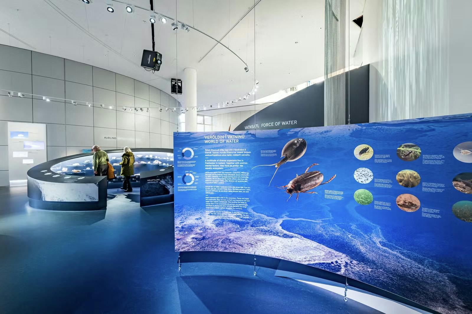 Exposición del agua en la naturaleza islandesa