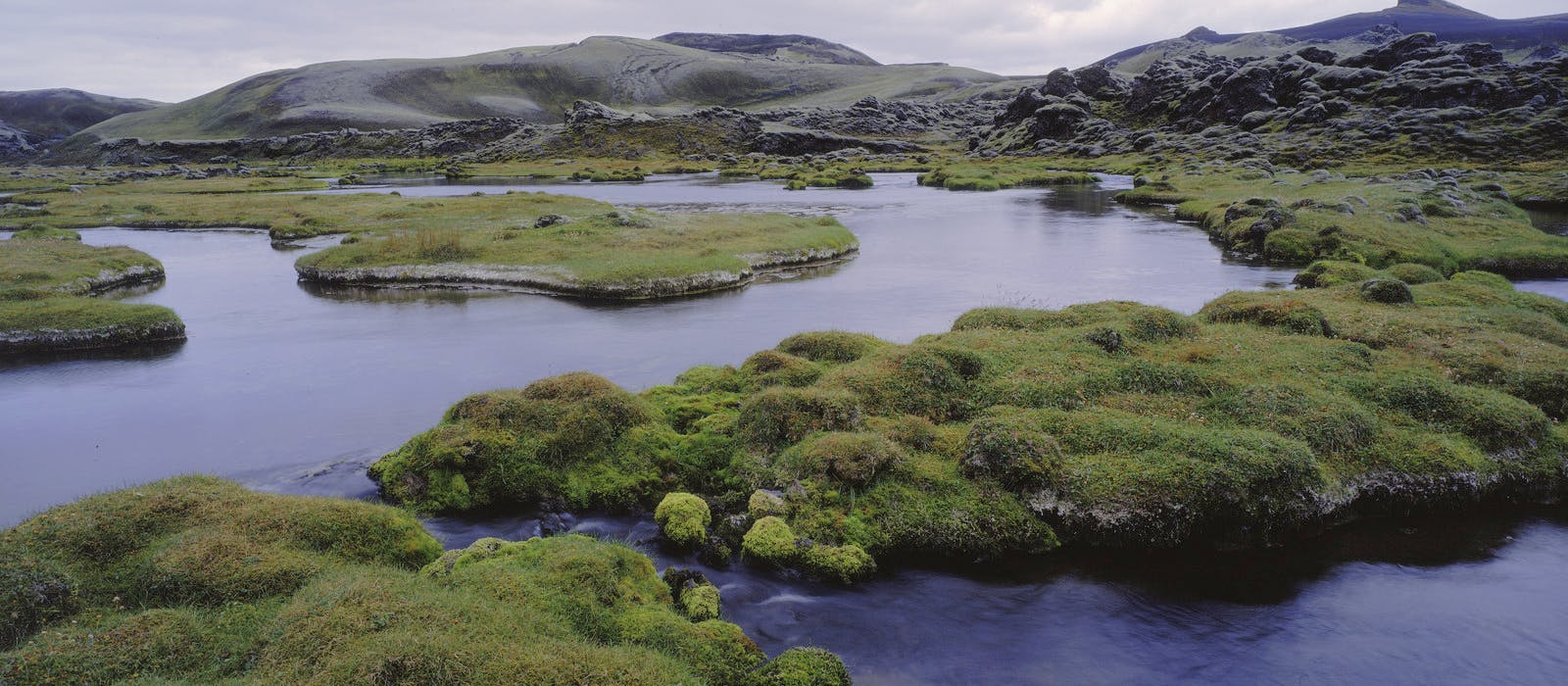 lakigígar landscape with green moss and water