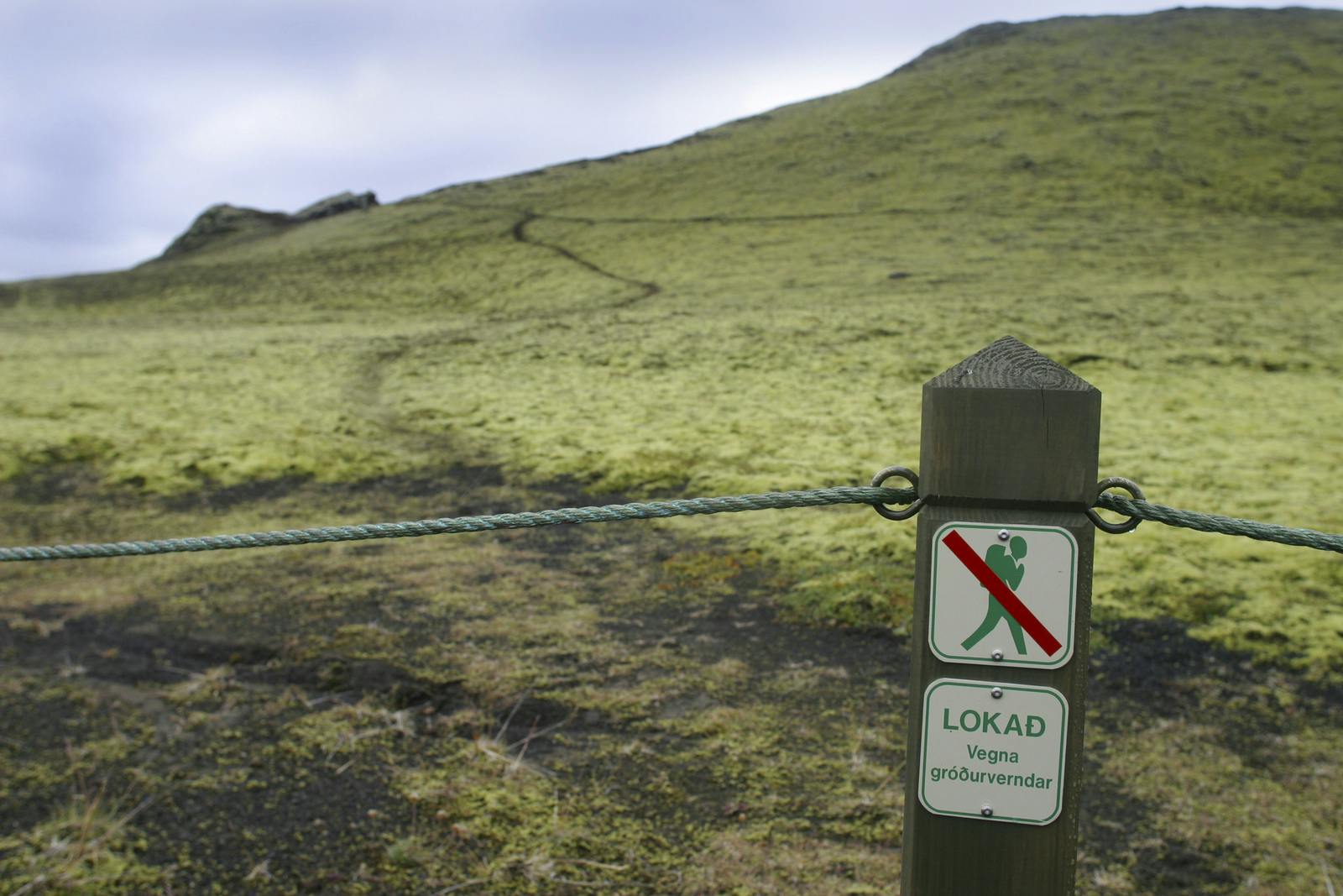 No walking off trail at laki