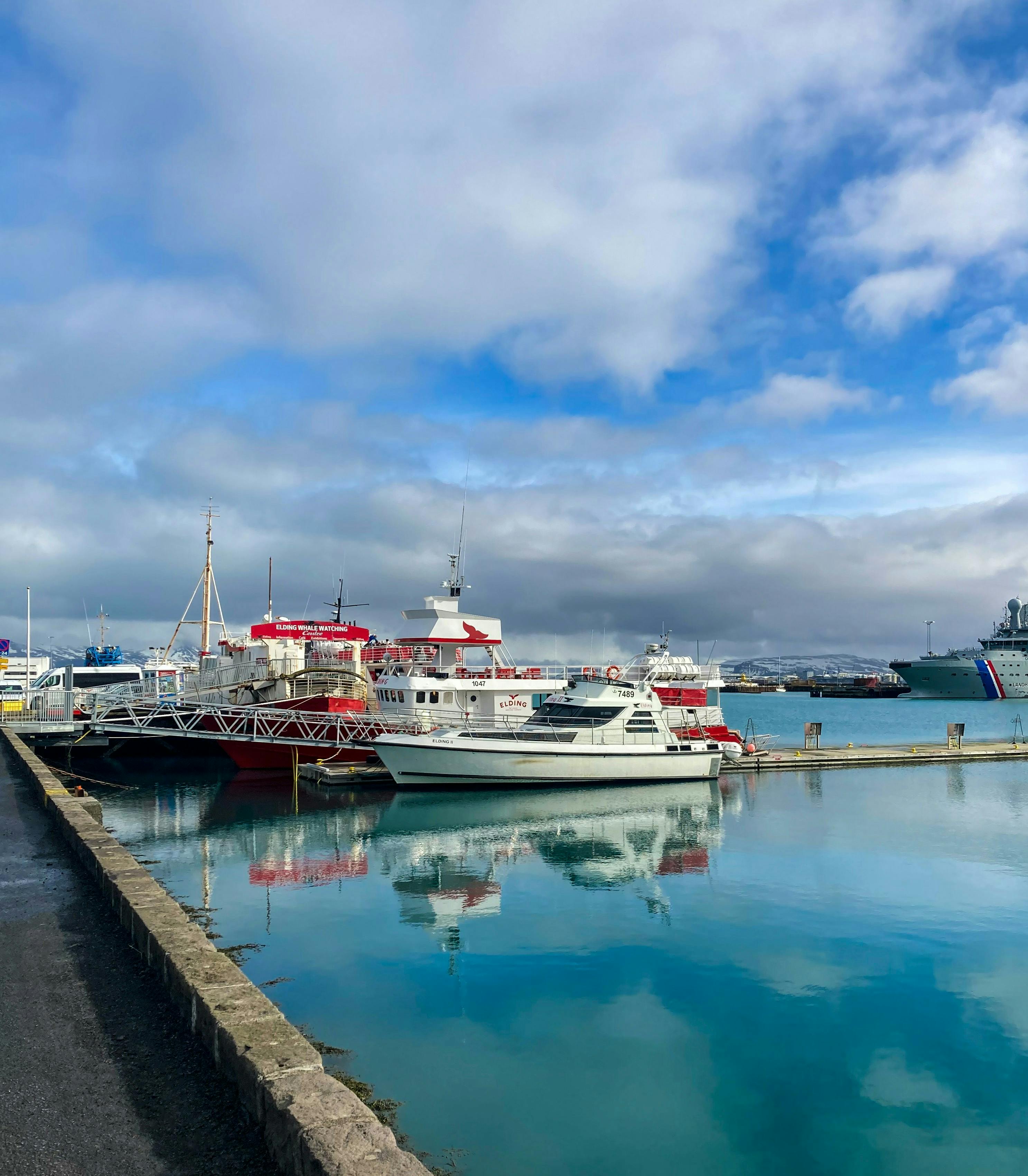 A boat in Reykjavik Harbour