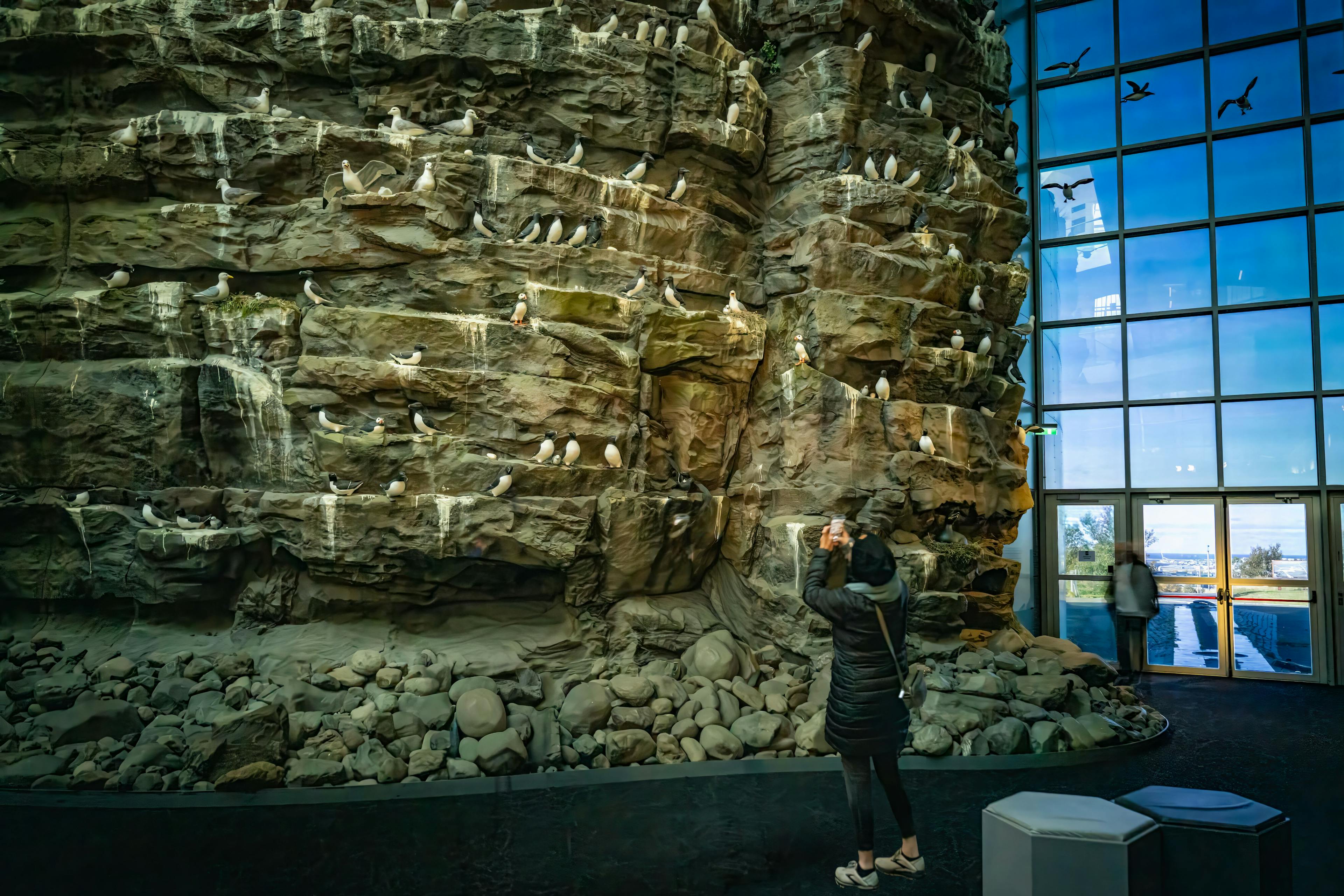Latrarbjarg iceland exhibit