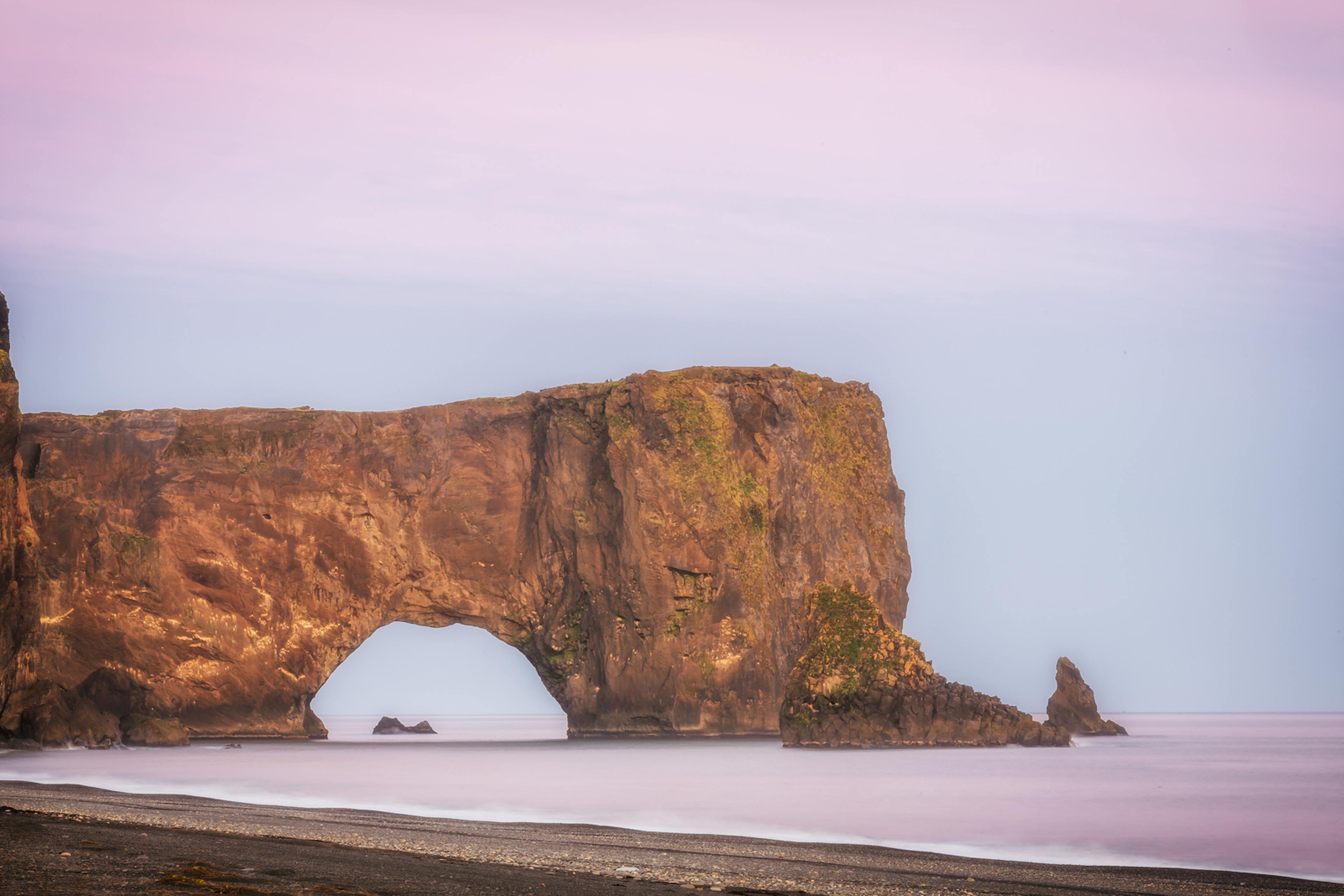 Close up of Dyrhóley with a pink background