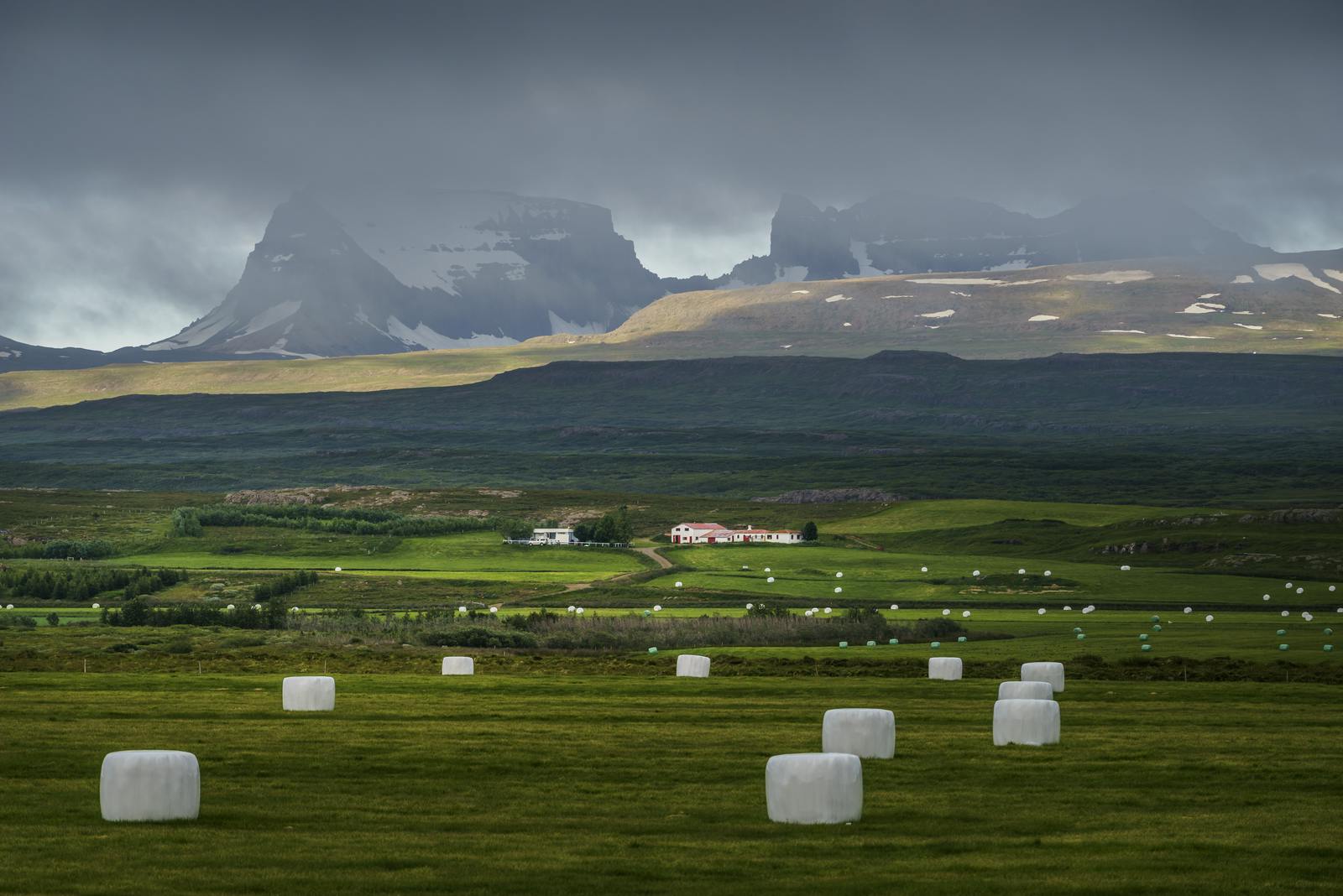 farmland in iceland with Dyrfjöll mountains in the background