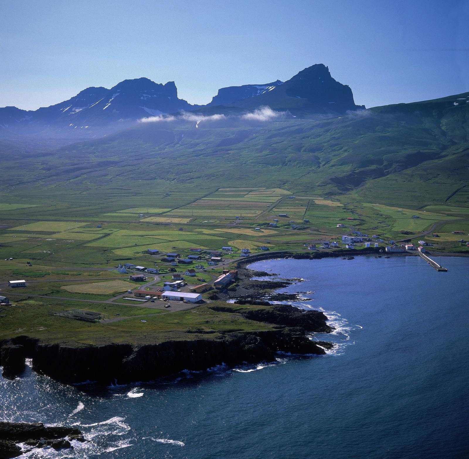 Ocean cliffs with Dyrfjöll mountains in the background on a sunny day