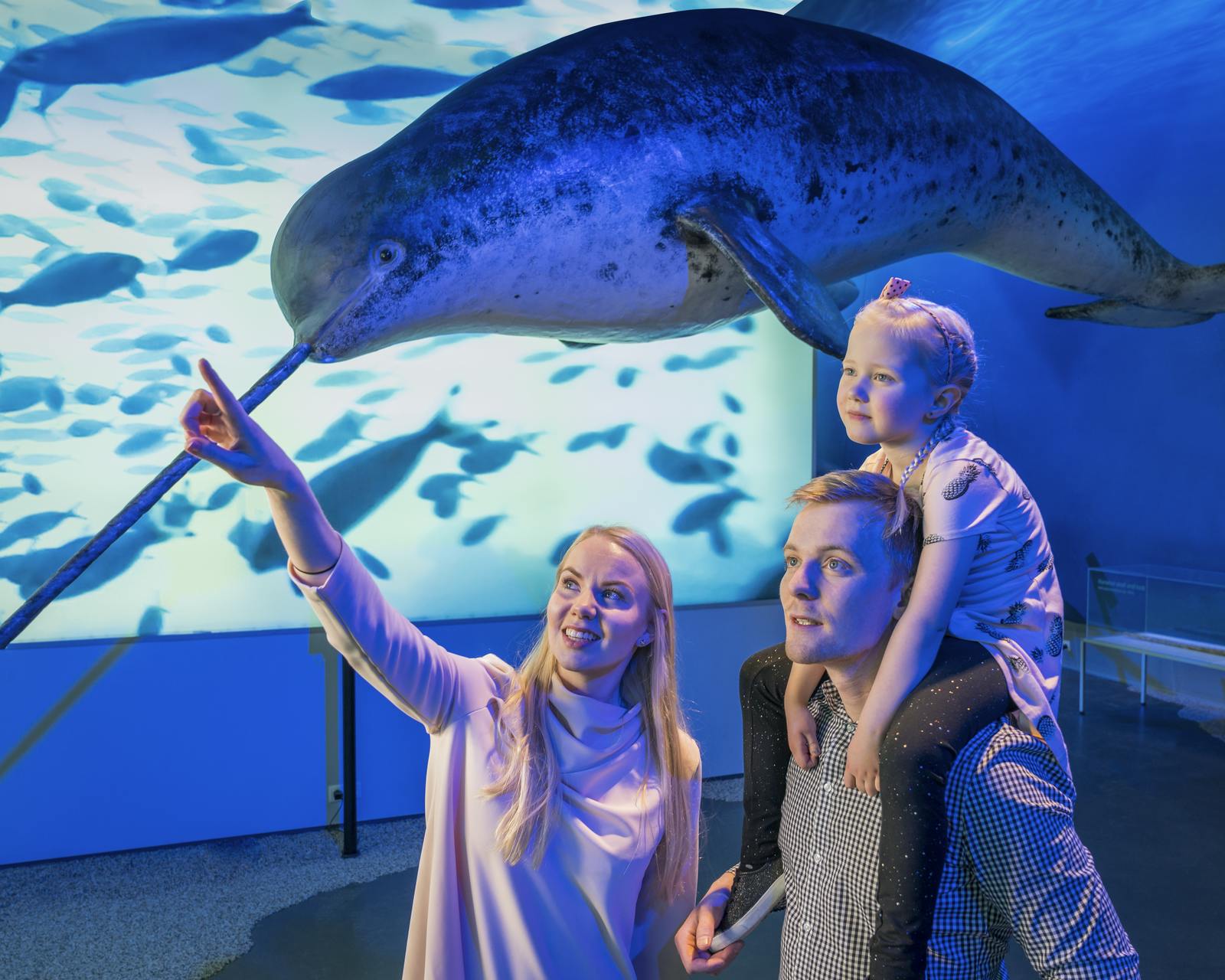 family with young child pointing at a whale in the museum of whales in reykjavik
