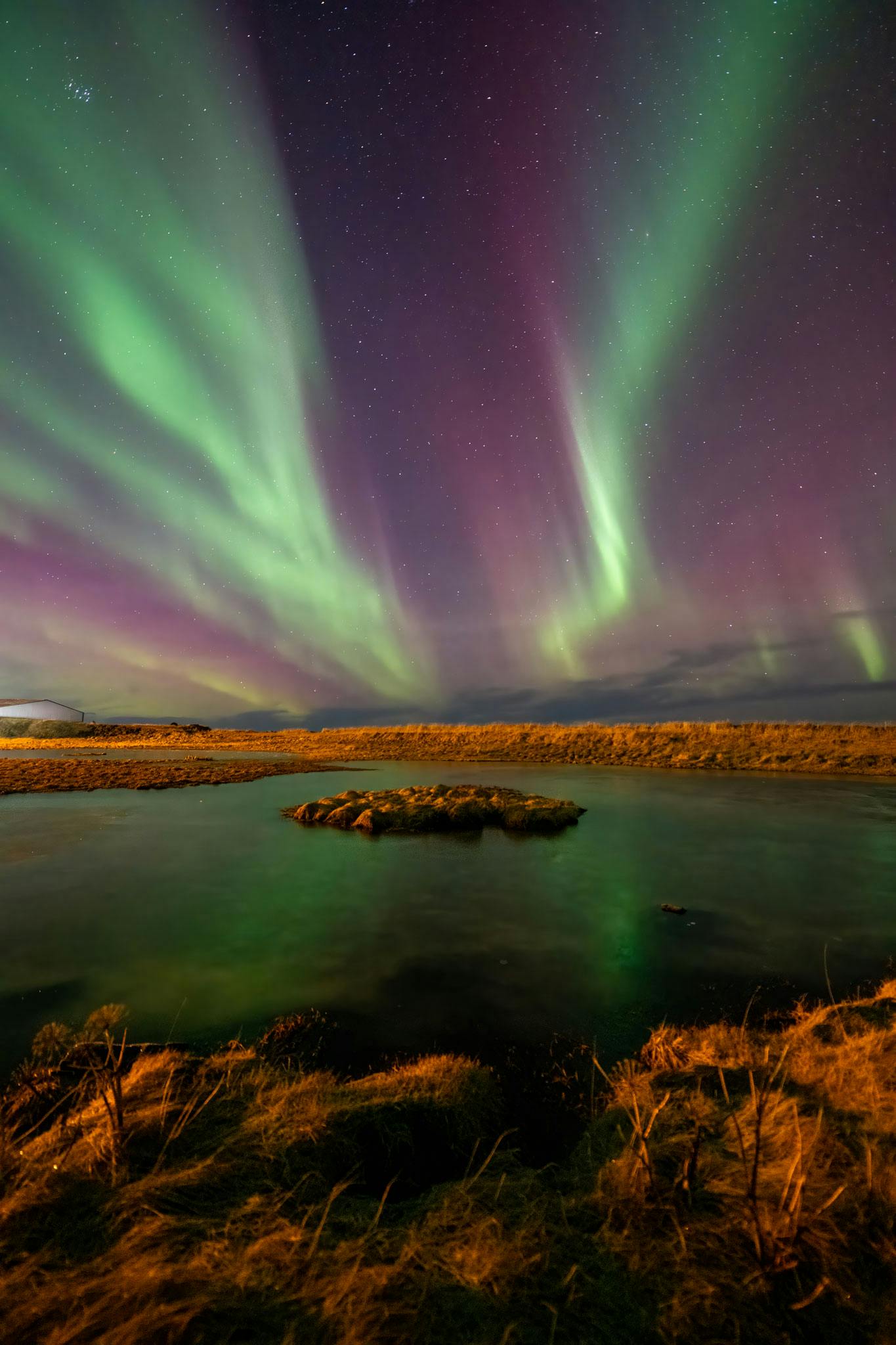 purple, yellow and green northern lights over iceland
