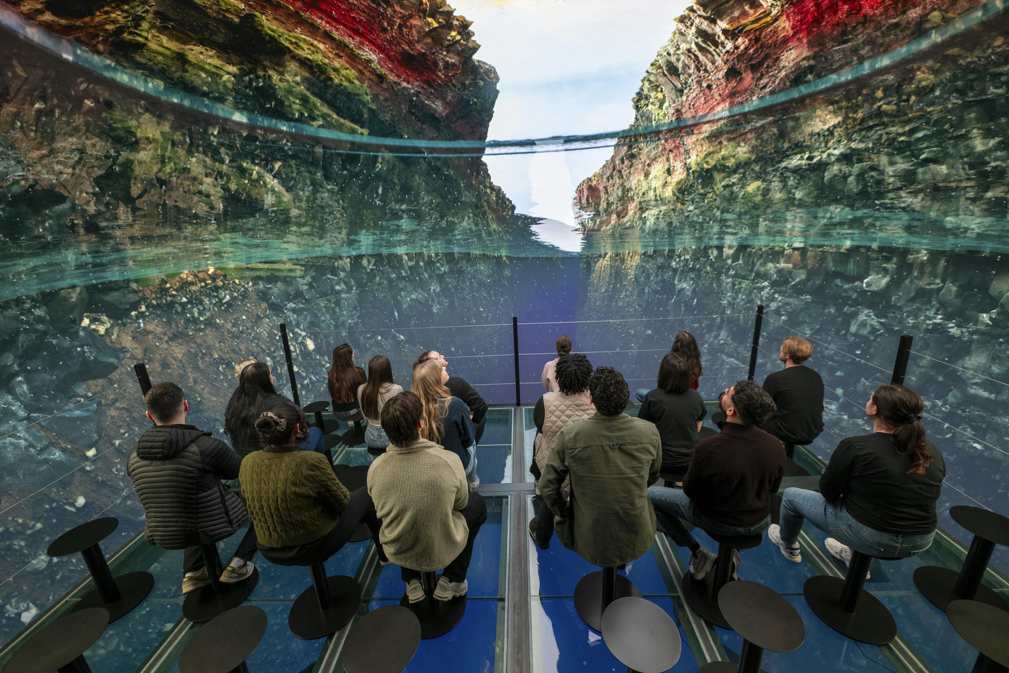 a group of people in the immersive magma chamber