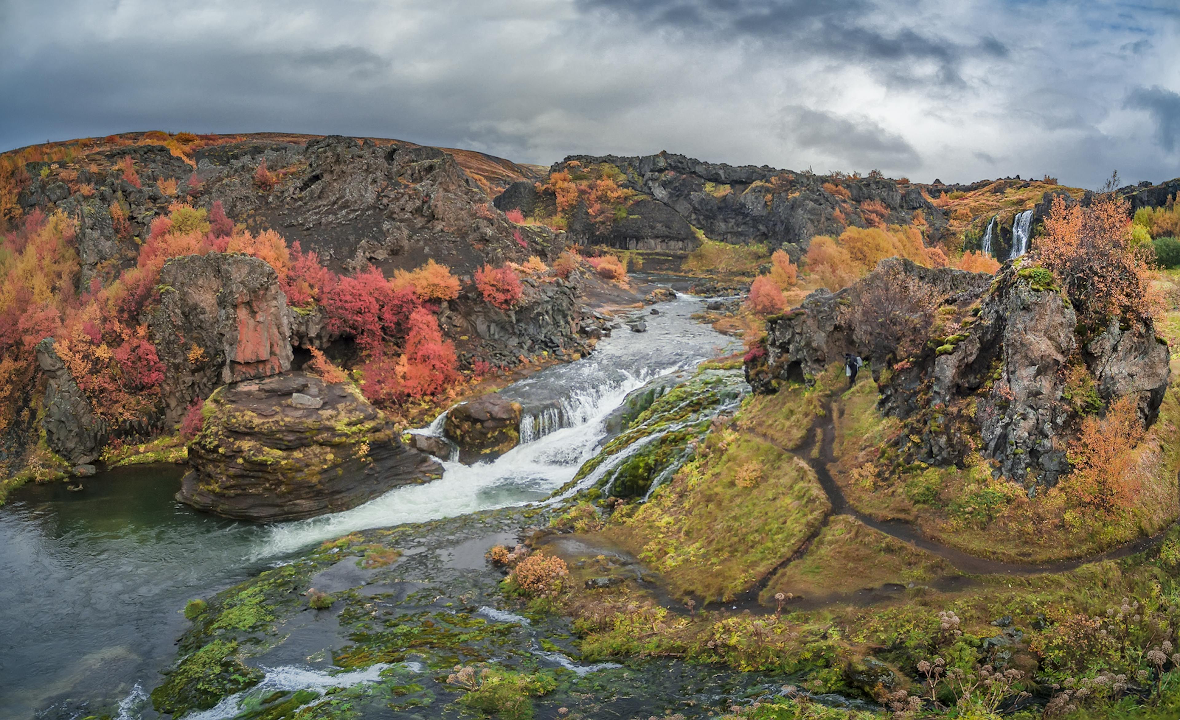 autumn colors at gjáin iceland
