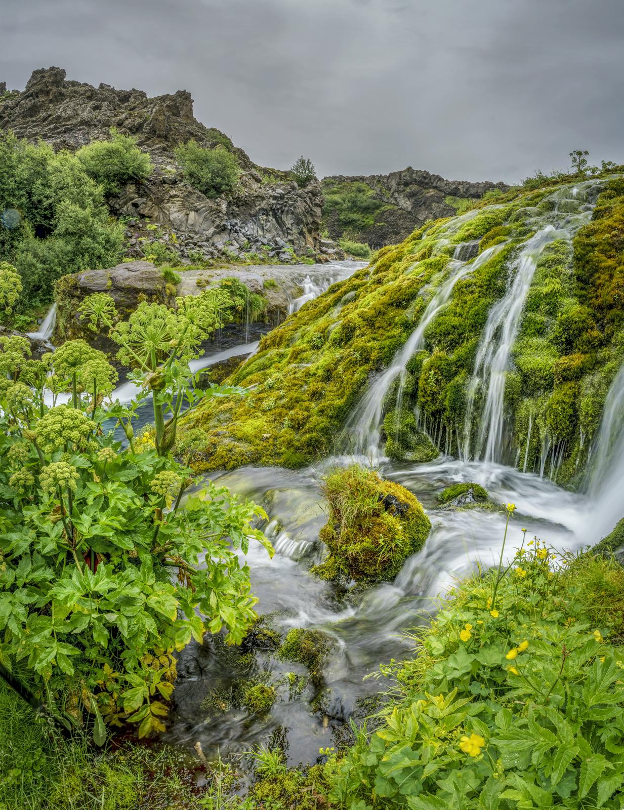 greenery in gjáin þjórsárdalur