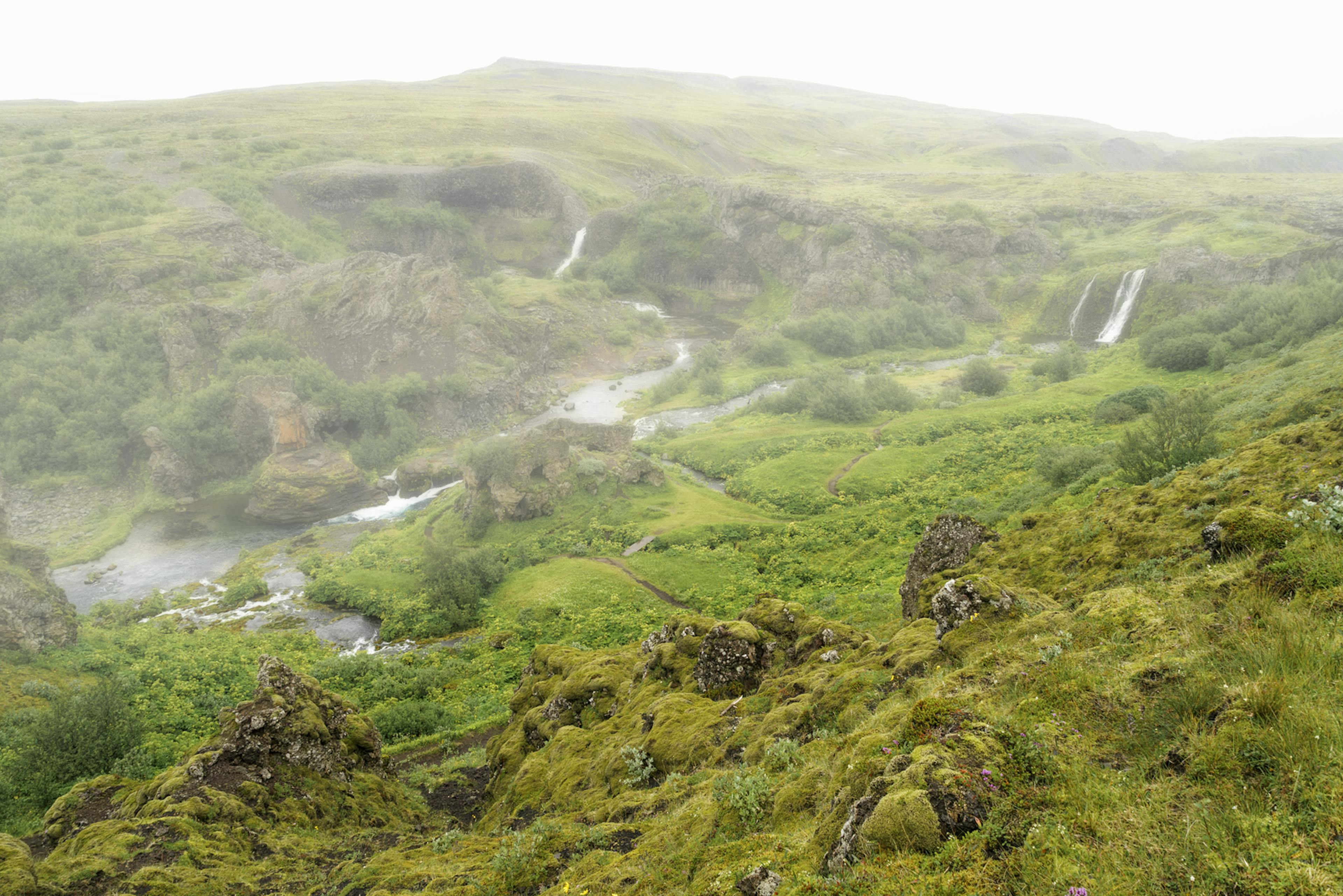 fog covered gjáin in summer greenery