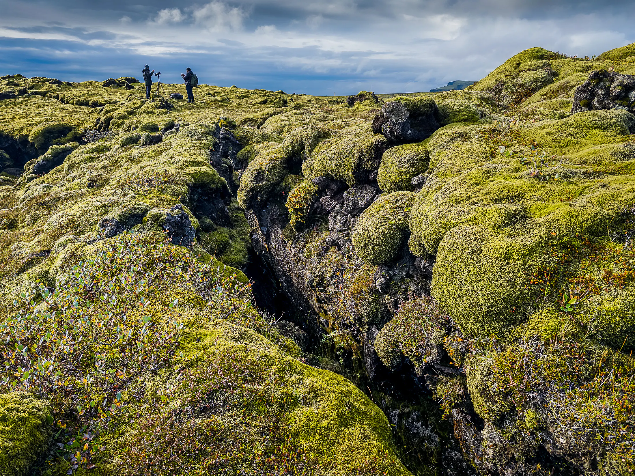 Two people on thick greenish grey Icelandic moss