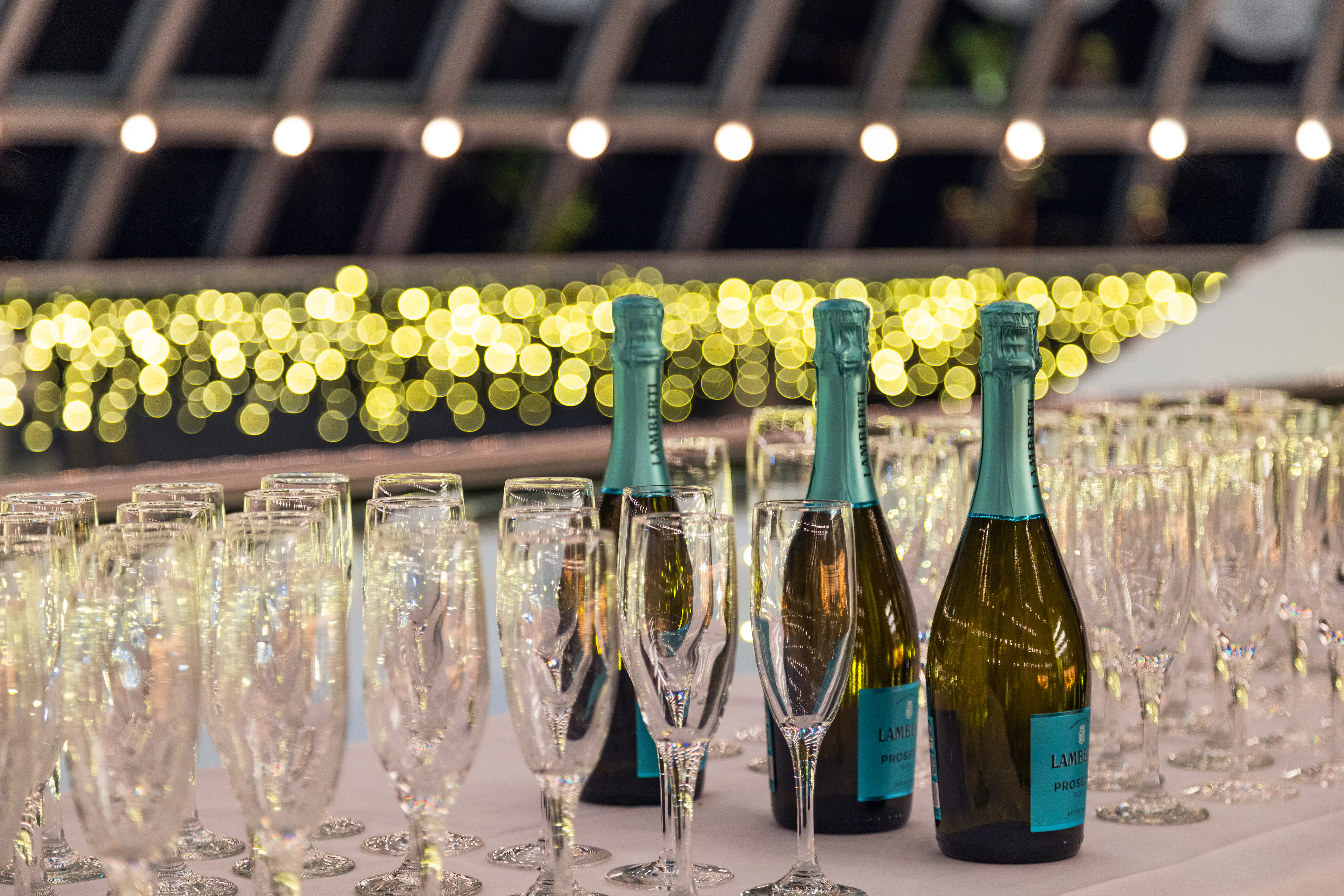 champagne evening in reykjavik