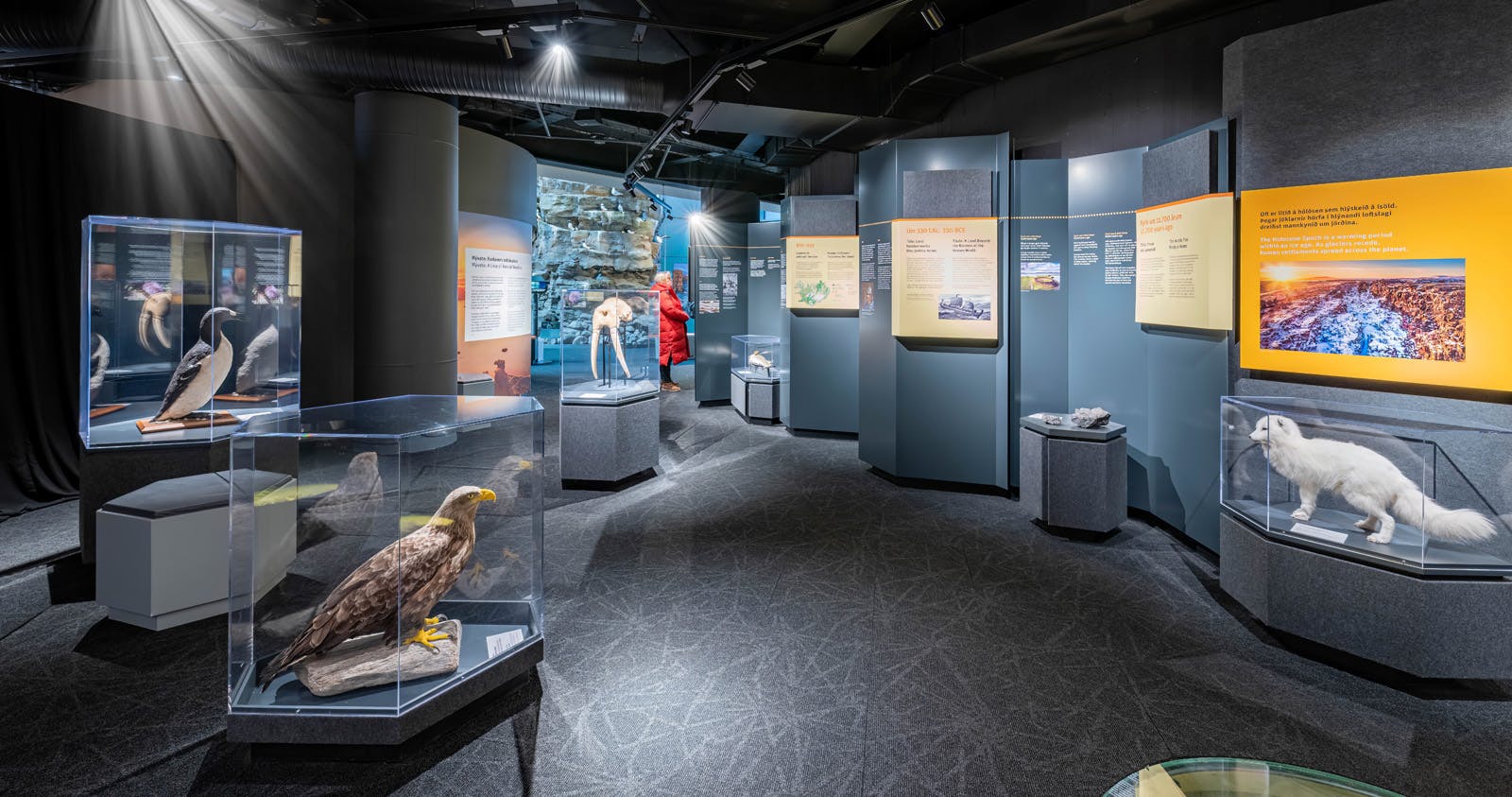 Timeline of Iceland exhibition