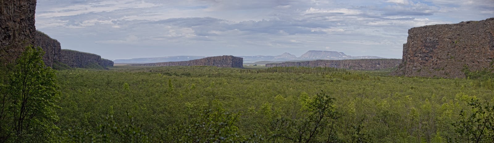 Asbyrgi Canyon