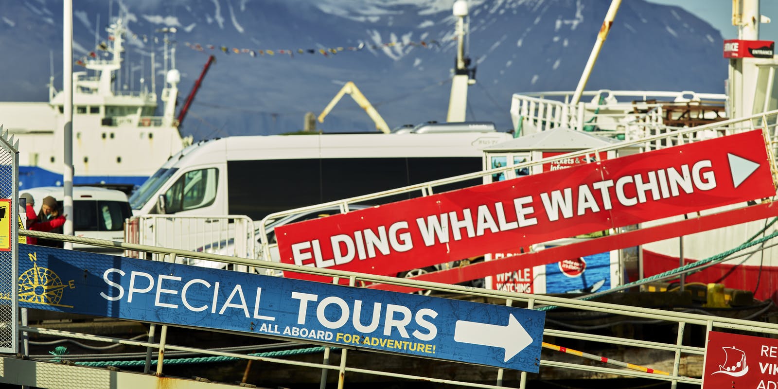 Whale watching tours