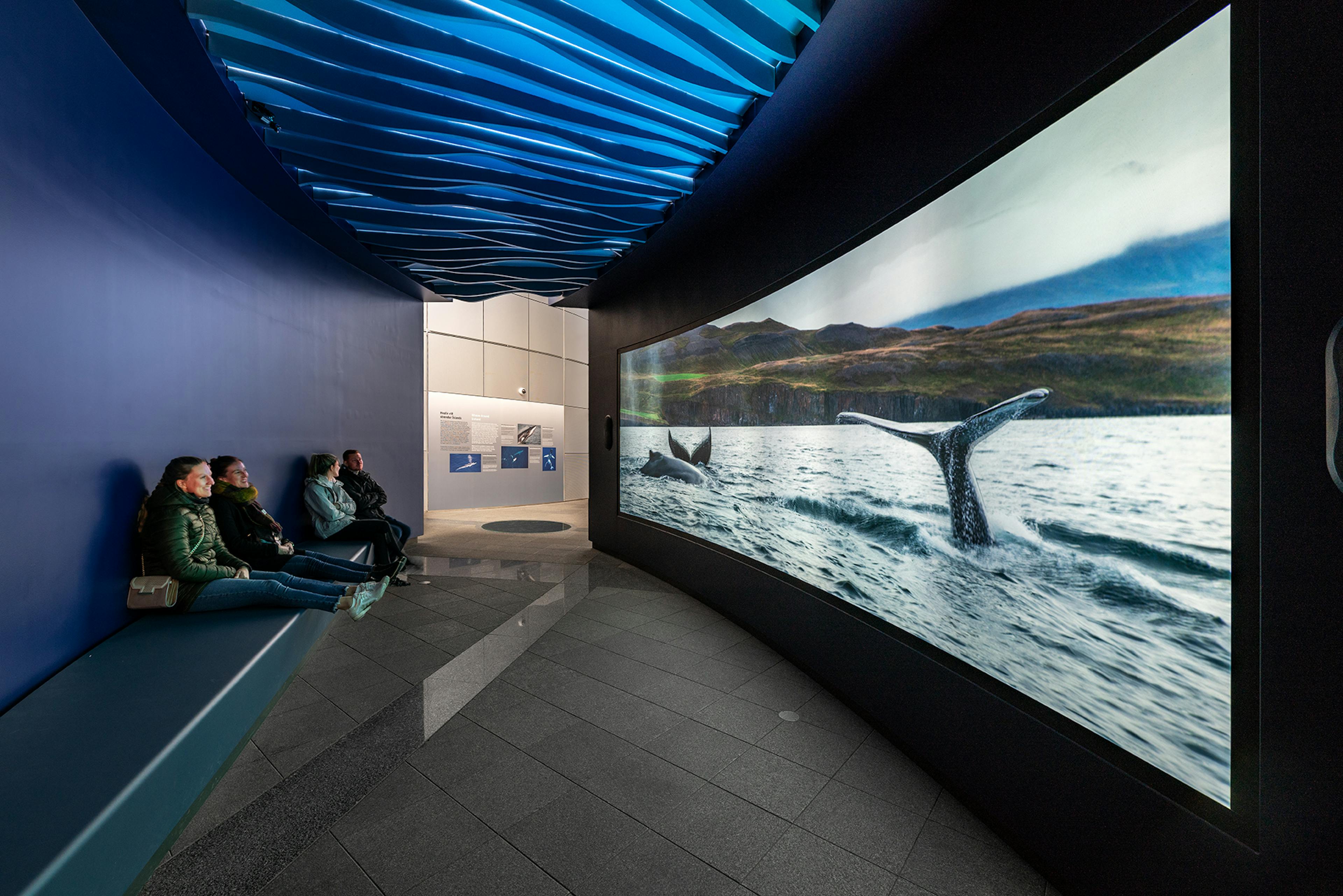 Ocean exhibit in Reykjavík Perlan