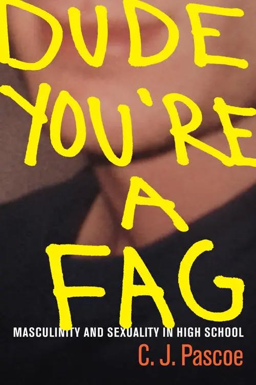 Dude you're a fag book cover
