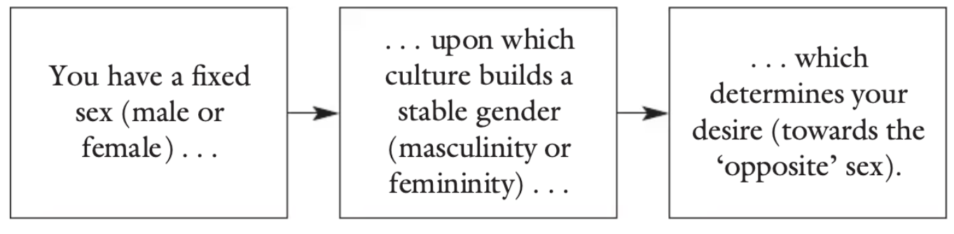 Judith Butler's Theory Of Gender Performativity | Definition, Examples ...