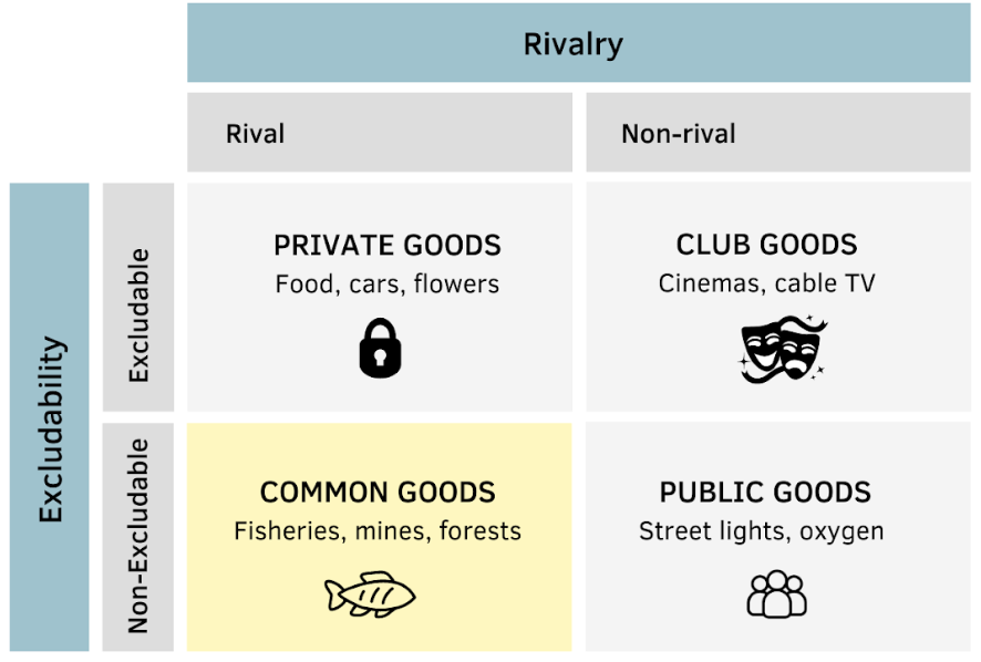 What Is The Tragedy Of The Commons? | Definition, Examples & Analysis