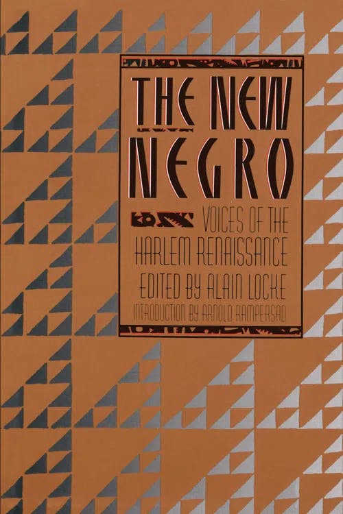 The New Negro book cover