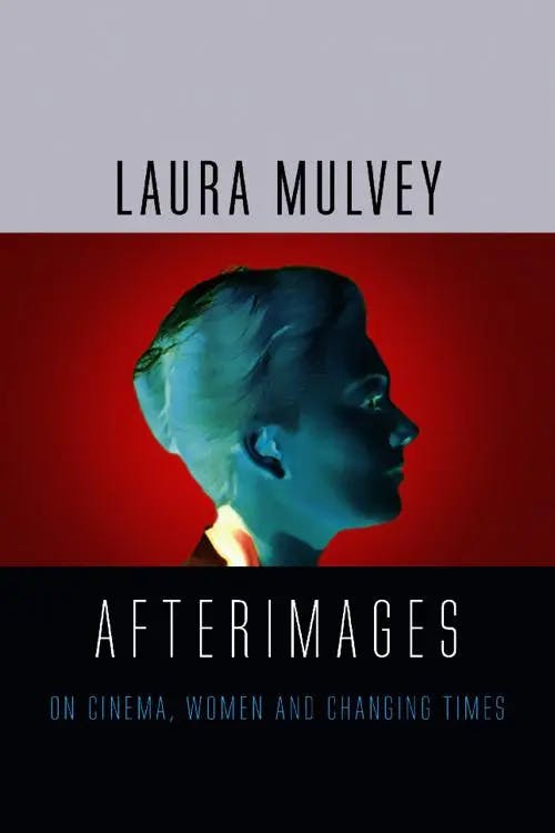 Afterimages: On Cinema, Women and Changing Times book cover