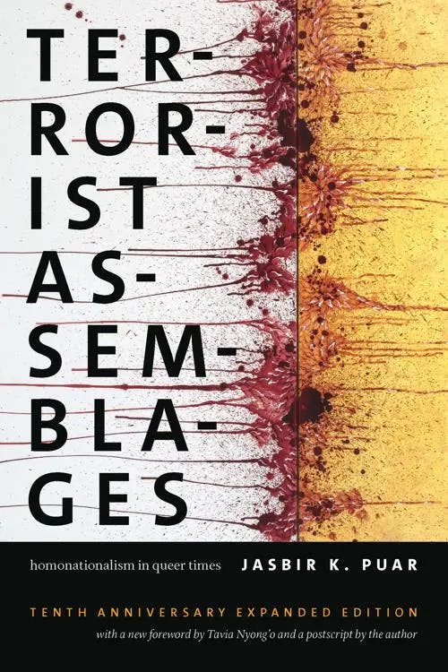 Terrorist Assemblages Homonationalism in Queer Times book cover
