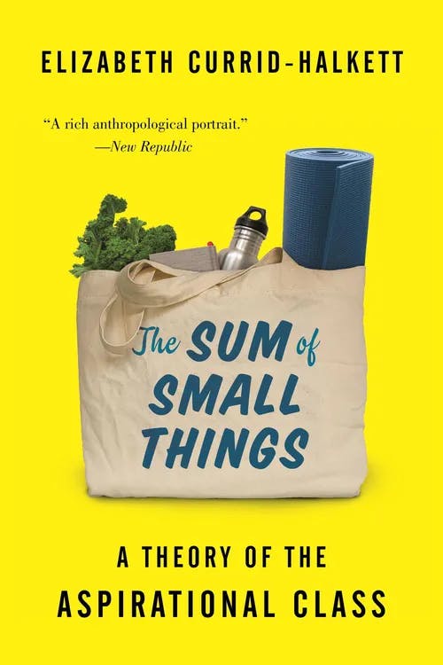The Sum of Small Things book cover