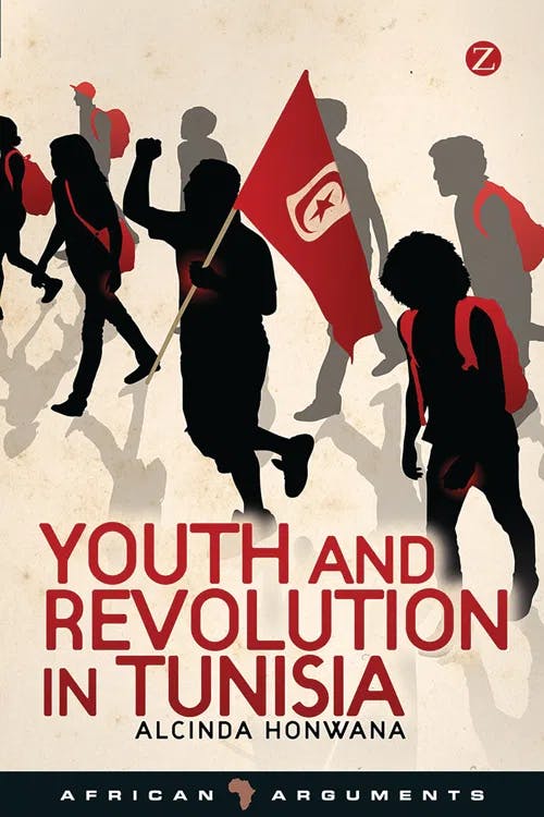 Youth and Revolution in Tunisia book cover