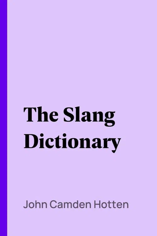 The Slang Dictionary book cover