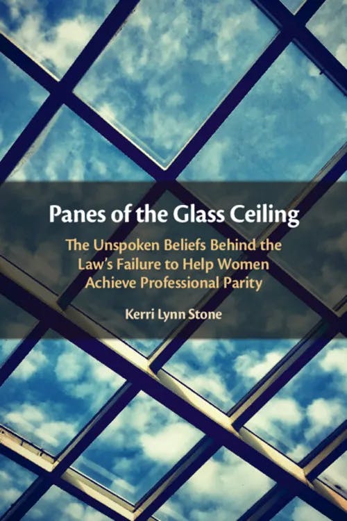 Panes of the Glass Ceiling book cover