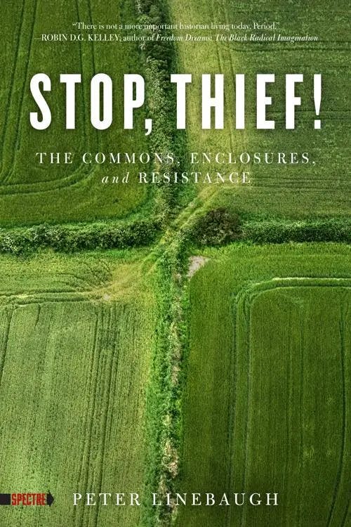 Stop, Thief! The Commons, Enclosures, and Resistance book cover