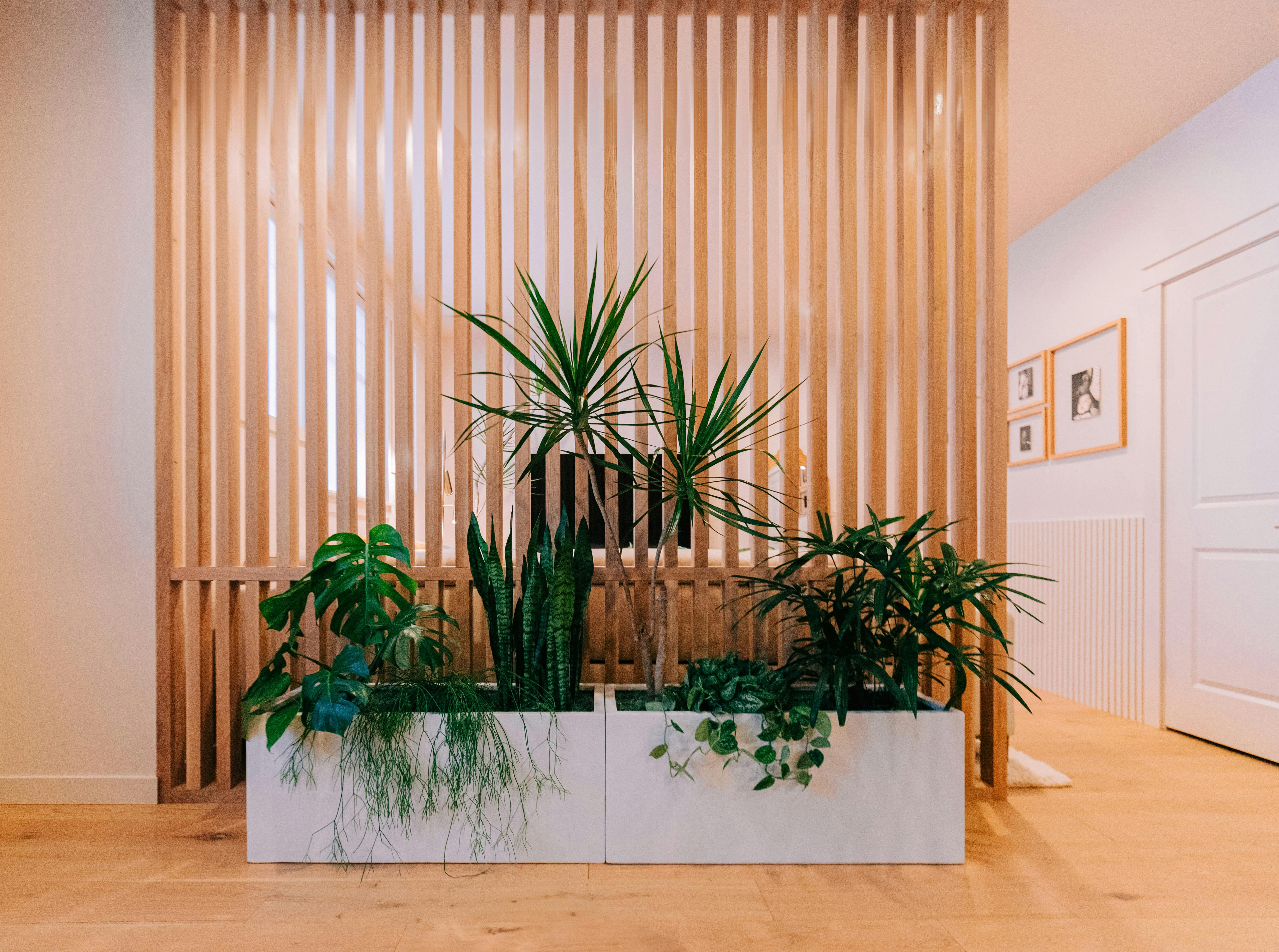 Greenery works hand in hand with a custom white oak room divider that Persimmon Design created for this Multipurpose Room
