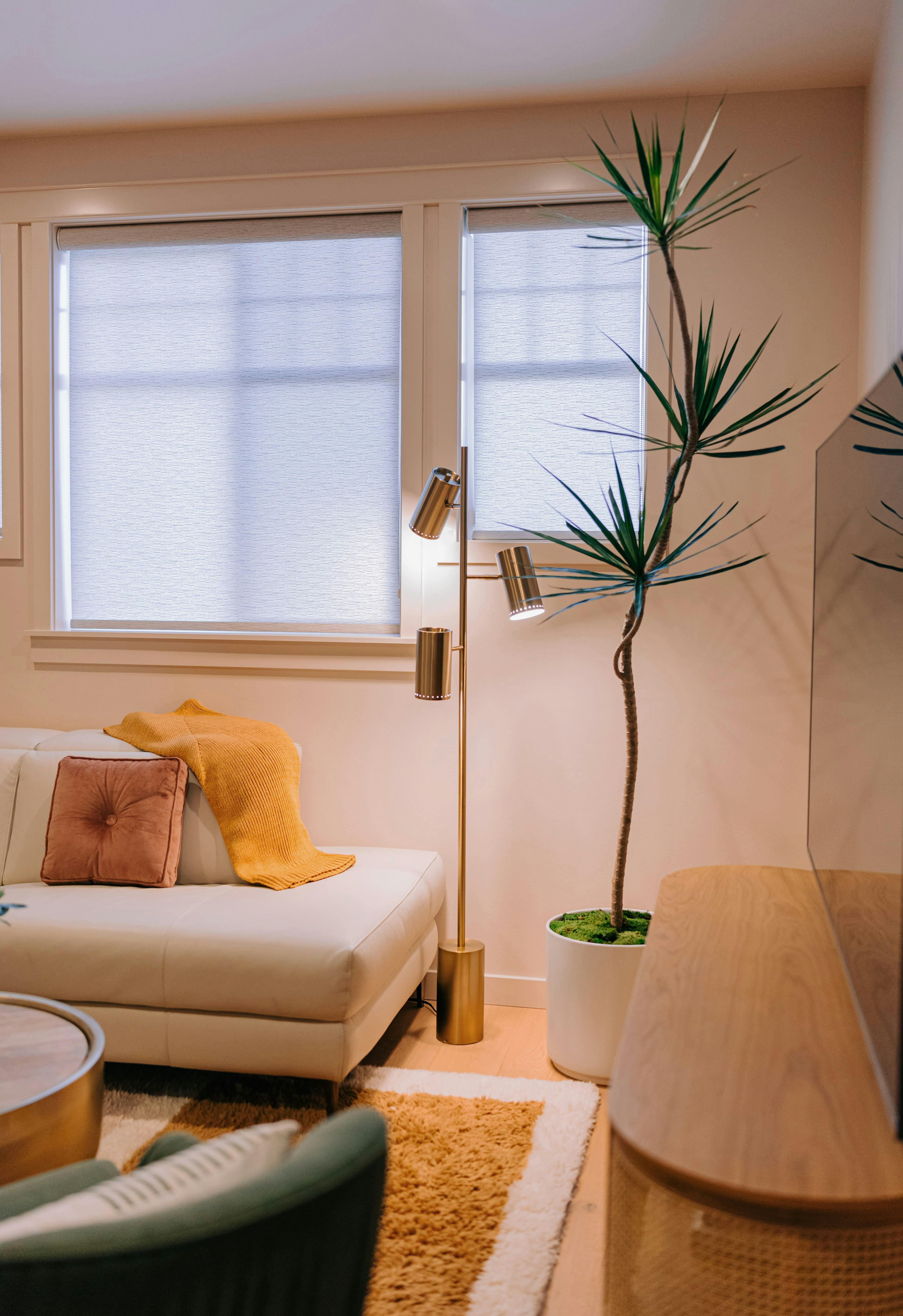 A tall sculptural plant anchors this Media Room designed by Persimmon Design