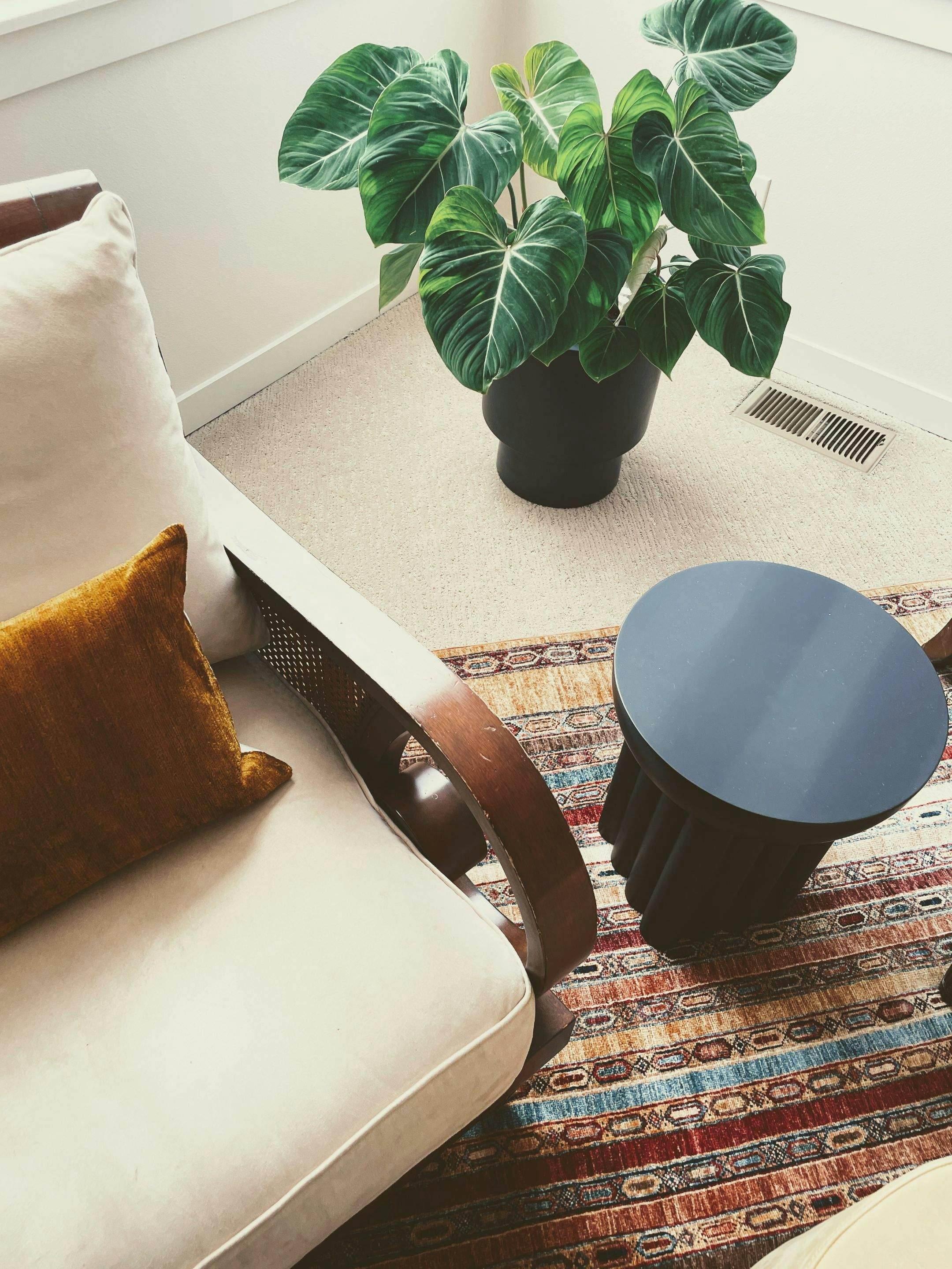 Cozy Nook in Seattle