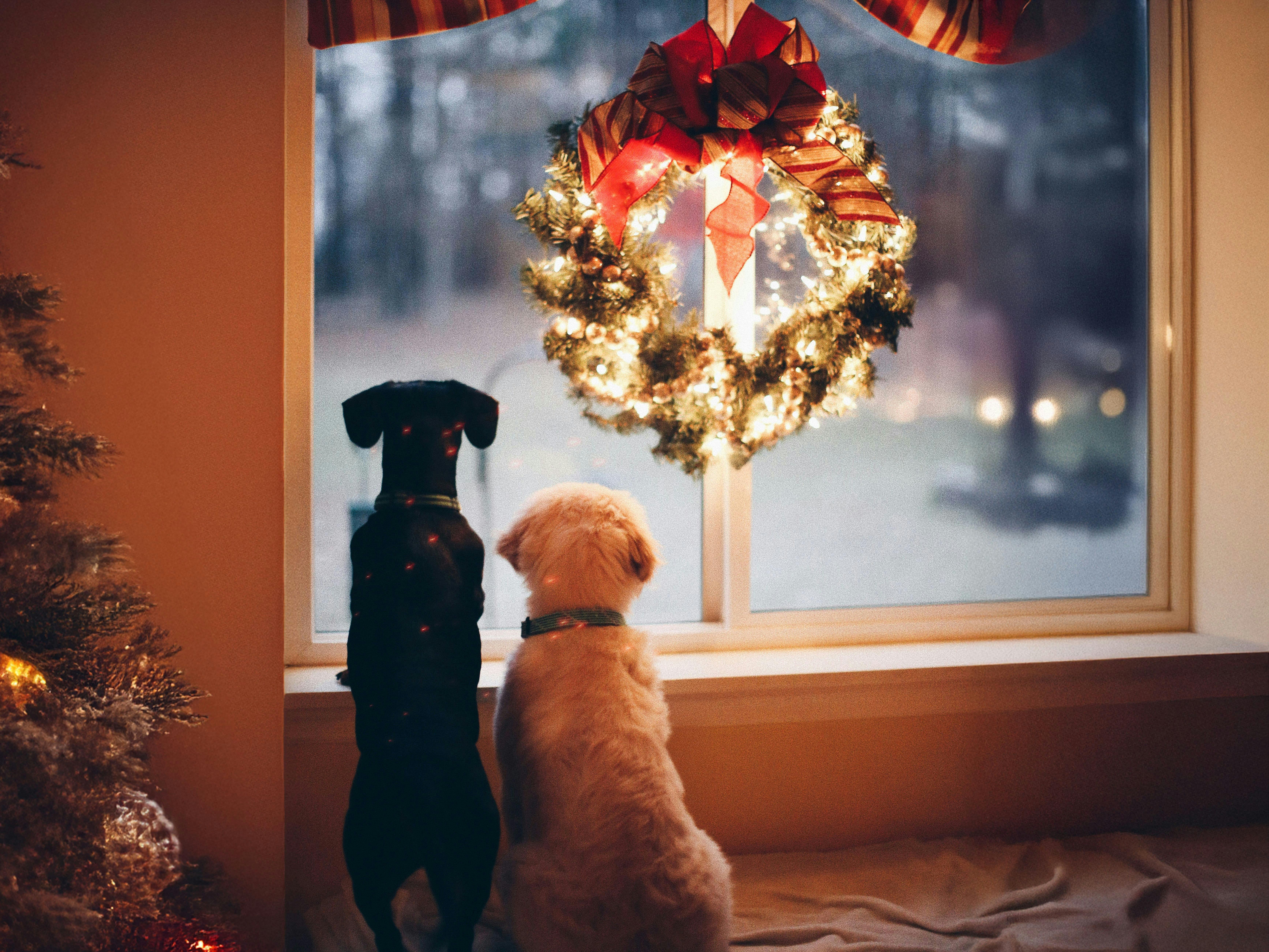 Festive Interior Design for Reuse and Ritual