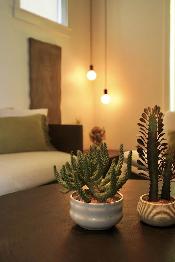 In this Wellness Room by Persimmon Design, the amber glow of two simple pendant bulbs works magic on the surfaces around them — the white sofa reads as cream, the sage cushions deepen, the texture and richness of the hammered brass coffee table gets accentuated, and even the cacti look lusher and more alive. The flat gray winter light coming through the window simply cannot do the same.