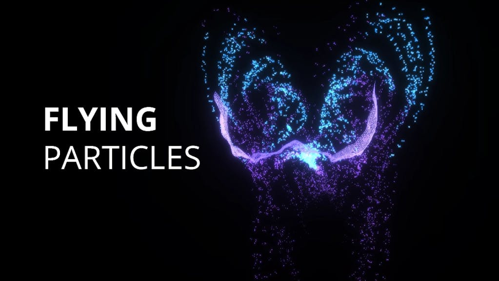 Particles In Flight